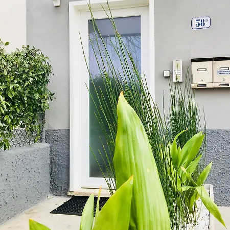 Genovesa 58